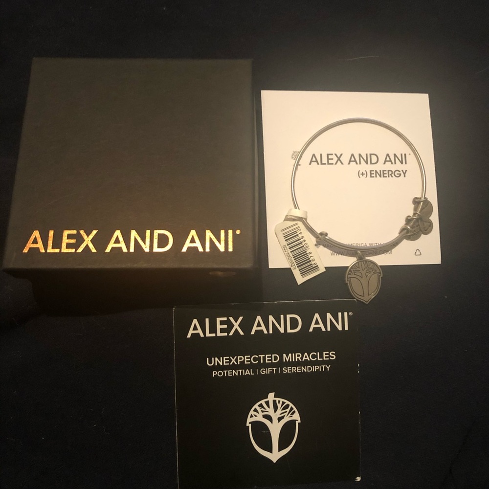 ALEX AND ANI Unexpected Miracles Bangle